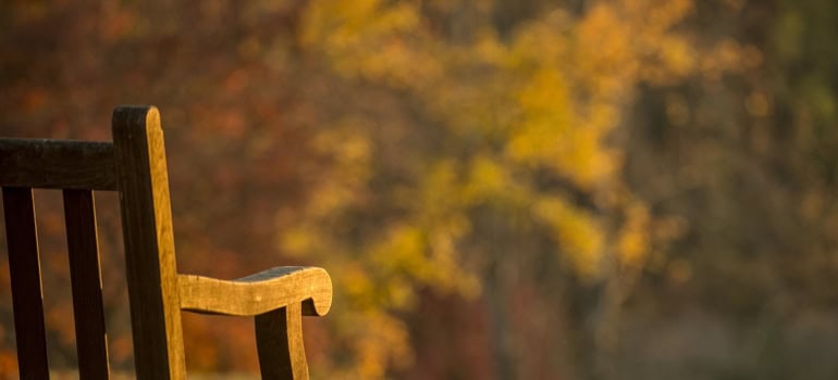 a bench in the park