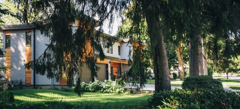 A house view from the trees