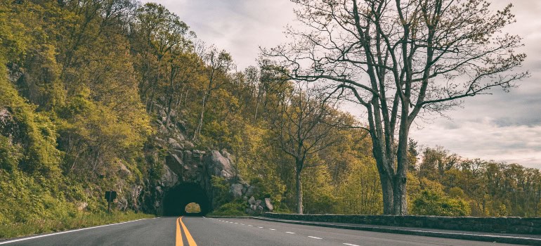 a road and a tunnel surrounded by nature