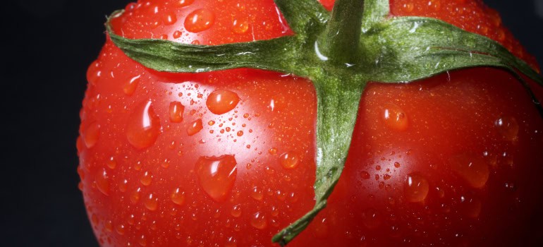 a close-up of a recently washed tomato