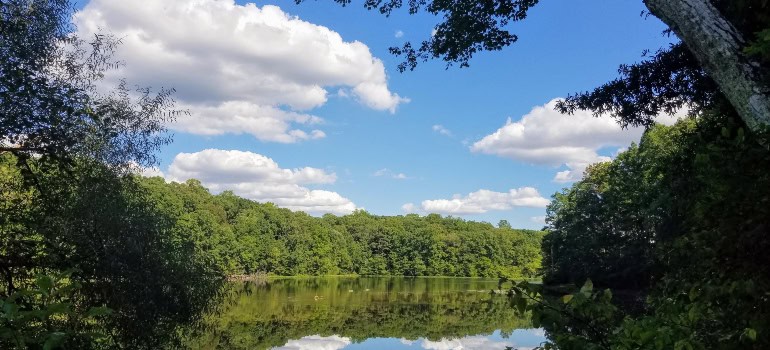 a scene from Burke Lake Park