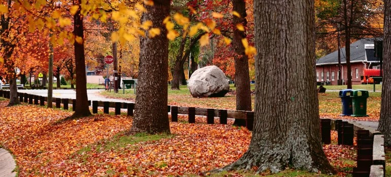 a park in Woodbridge in the fall