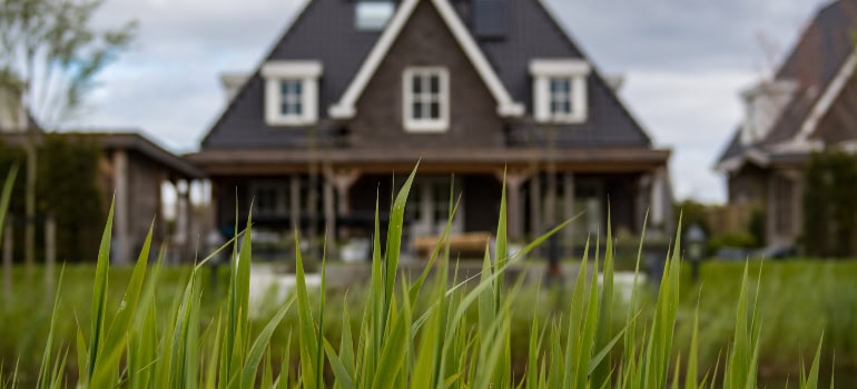 a house observed while lying on the grass in front of it