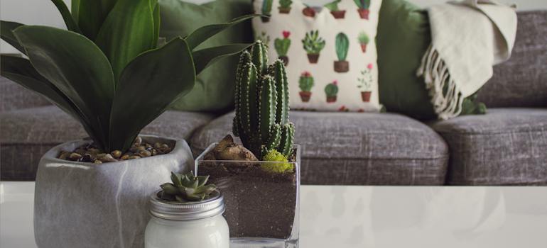 a living room with some houseplants on the table which is a good trick to use to decorate your home in McLean on a budget