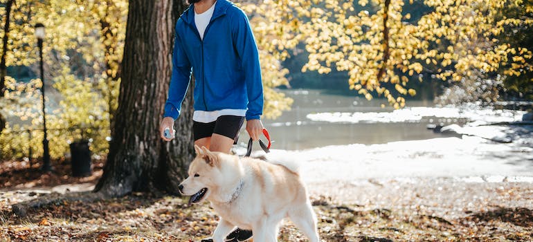 a man walking his dog in a park