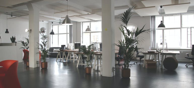 an office with multiple indoor plants in it