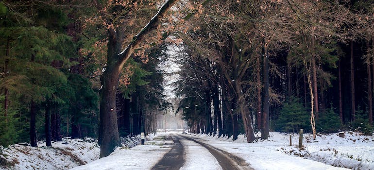 a road covered in snow