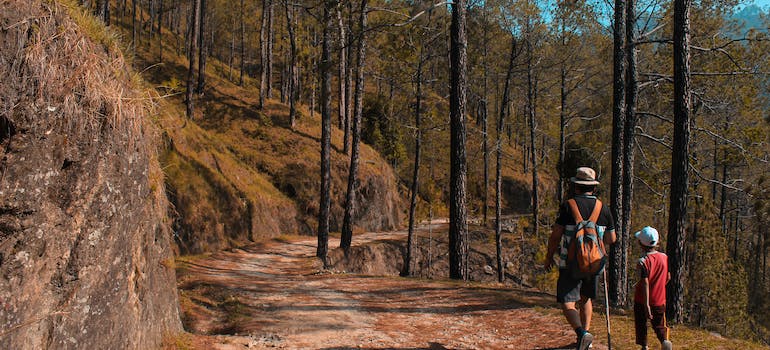 two people going down a hiking trail