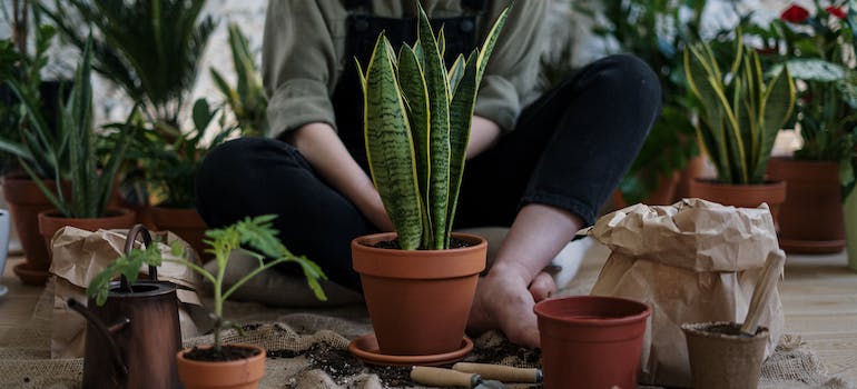 a woman doing something with her plants on the floor