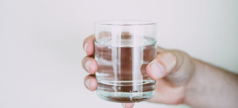 a person holding a glass of water